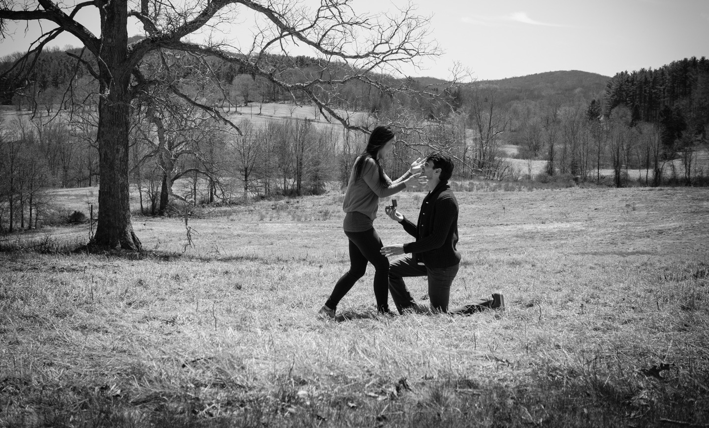 Proposal